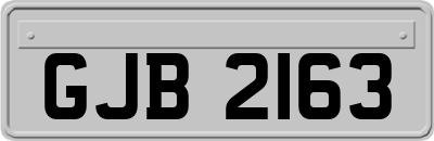GJB2163
