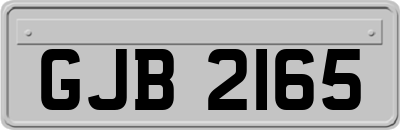 GJB2165