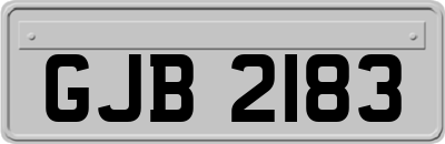 GJB2183