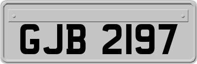 GJB2197
