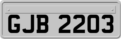 GJB2203