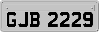 GJB2229