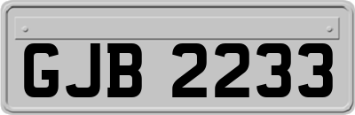 GJB2233