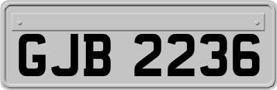 GJB2236