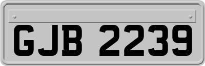 GJB2239
