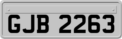 GJB2263