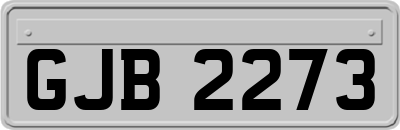 GJB2273