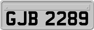 GJB2289