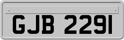 GJB2291