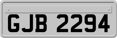 GJB2294