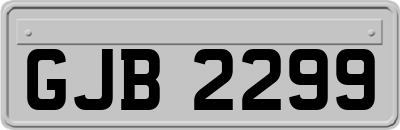 GJB2299