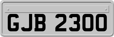 GJB2300