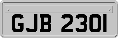 GJB2301