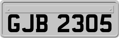 GJB2305