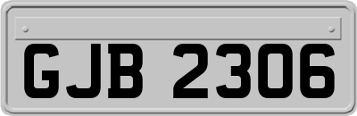 GJB2306