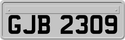 GJB2309