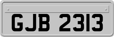 GJB2313