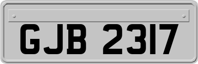 GJB2317
