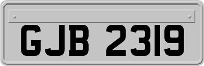 GJB2319