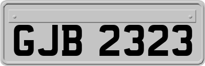 GJB2323