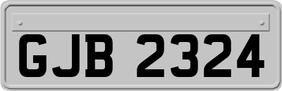 GJB2324