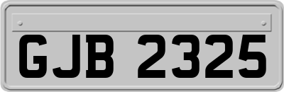 GJB2325
