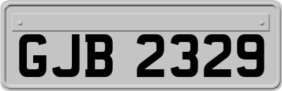 GJB2329