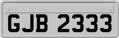 GJB2333