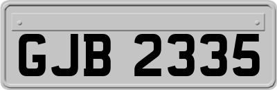 GJB2335