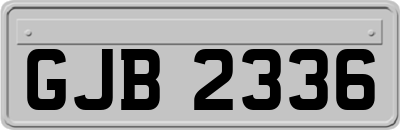 GJB2336