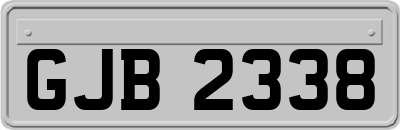 GJB2338