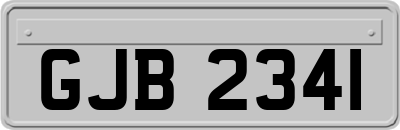 GJB2341