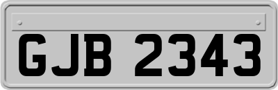 GJB2343