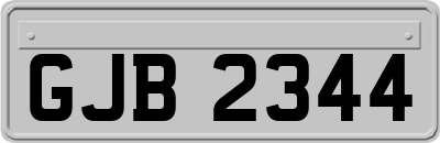 GJB2344