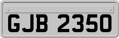 GJB2350