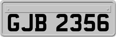 GJB2356