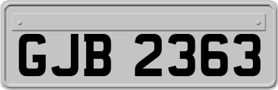 GJB2363
