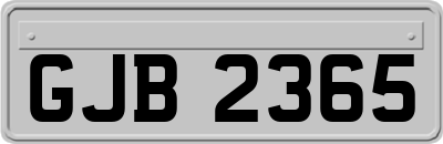 GJB2365