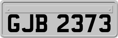 GJB2373