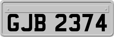 GJB2374