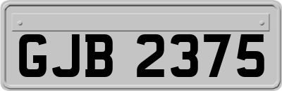 GJB2375