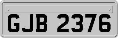 GJB2376