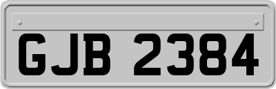 GJB2384