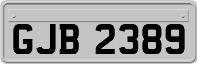 GJB2389