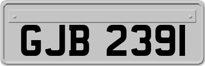 GJB2391