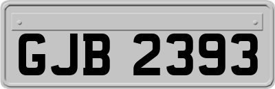GJB2393