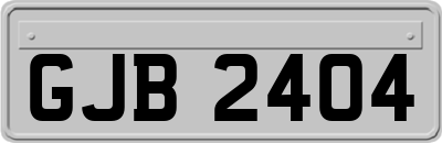GJB2404