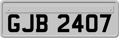 GJB2407