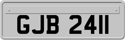 GJB2411
