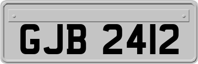 GJB2412